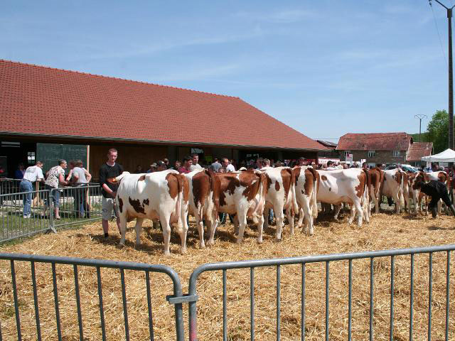  Comice agricole  Rougemont